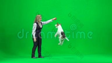 年轻女子训练一只狗。 绿色屏幕
